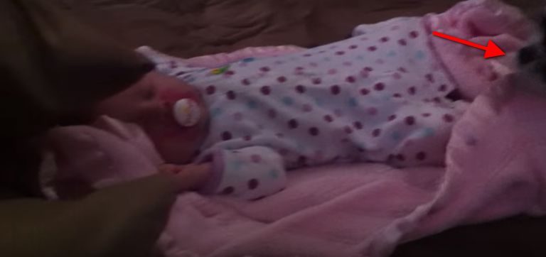Mom Started Recording Her Baby Girl Sleeping When Suddenly The Dog Did THIS!