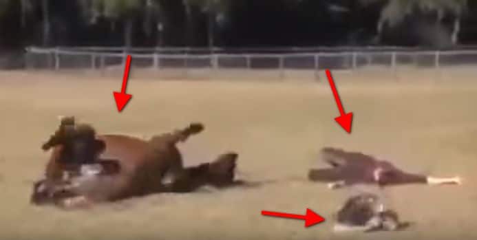 She Looked Outside And Saw THIS! She Knew It Had To Be Recorded.