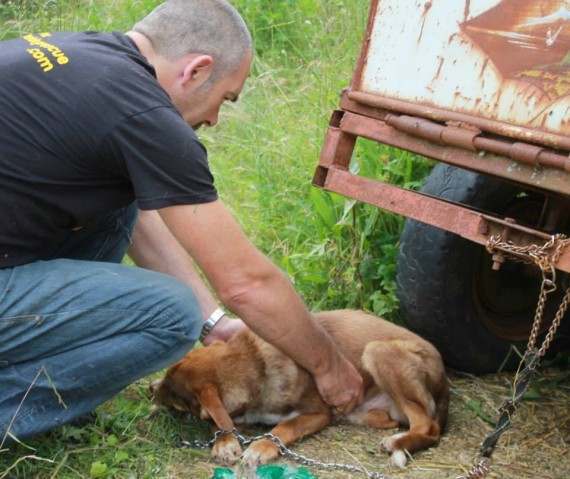 The organization's cofounder, Tony Rowles, showed up to find the scared dog covered in flies and his own feces. But Duke kissed the first hand that reached out to him.