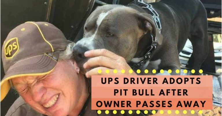 UPS Driver Adopts Pit Bull After Owner Passes Away