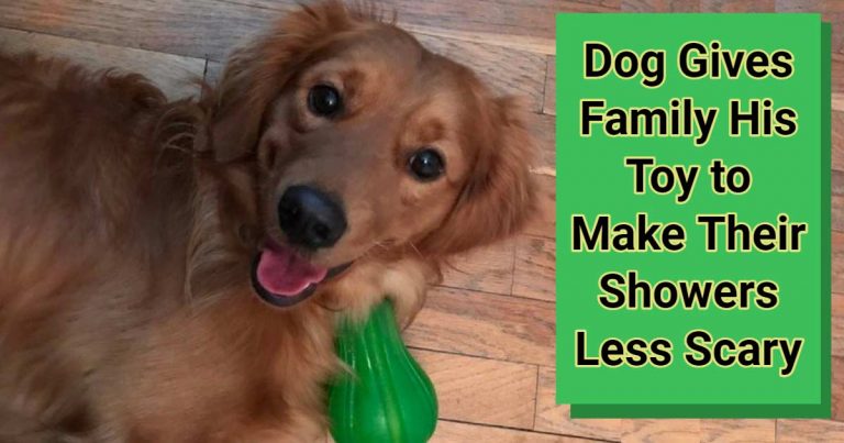 Dog Gives Family His Toy to Make Their Showers Less Scary